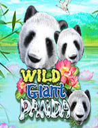 ทดลองเล่นด้วยสูตร คำนวณ บา คา ร่า ที่เซียนชอบใช้